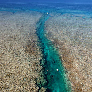 Rowley Shoals